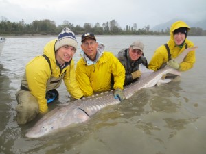BigSturgeonTB